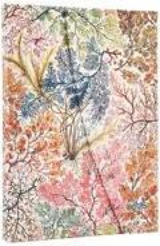 2026 Anemone (William Kilburn) Midi 12-month Verso Hardcover Flexi Dayplanner 2026 (Wrap Closure)