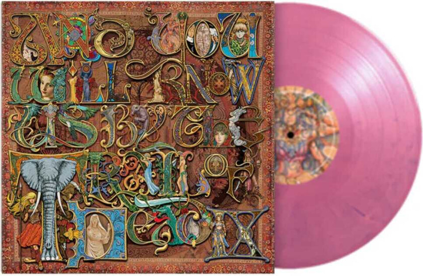 And You Will Know Us By The Trail Of Dead Ix LP/Vinyl