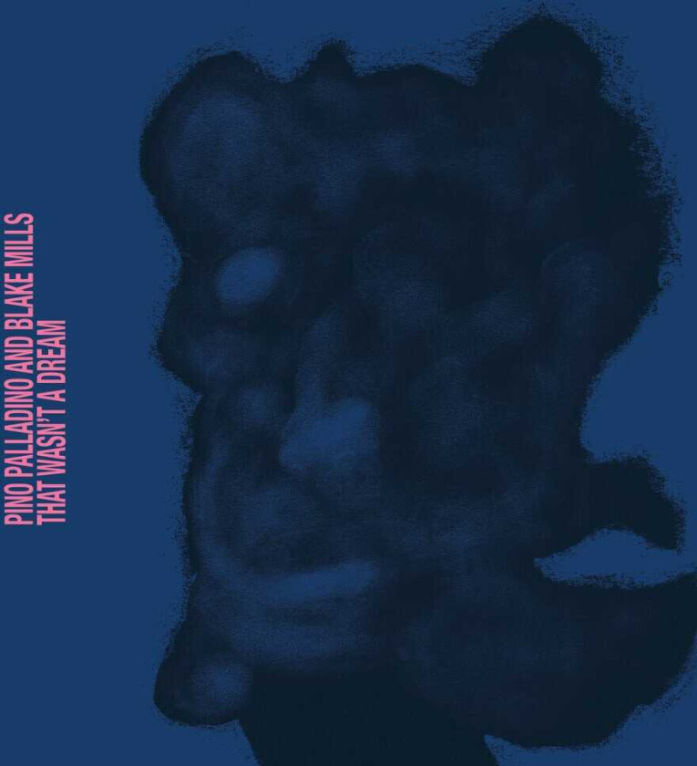 Pino Palladino & Blake Mills That Wasn't A Dream CD