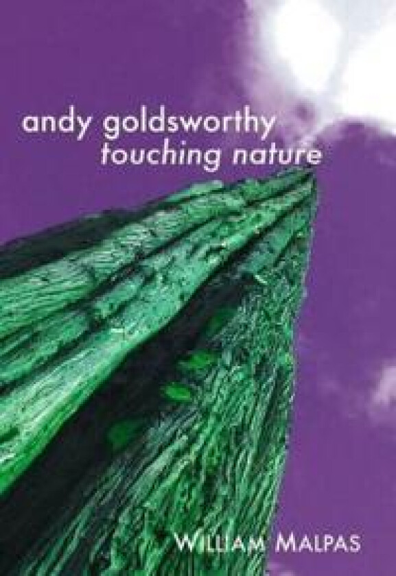 Andy Goldsworthy