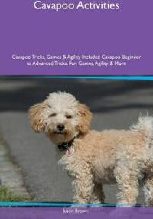 Cavapoo Activities Cavapoo Tricks, Games & Agility Includes