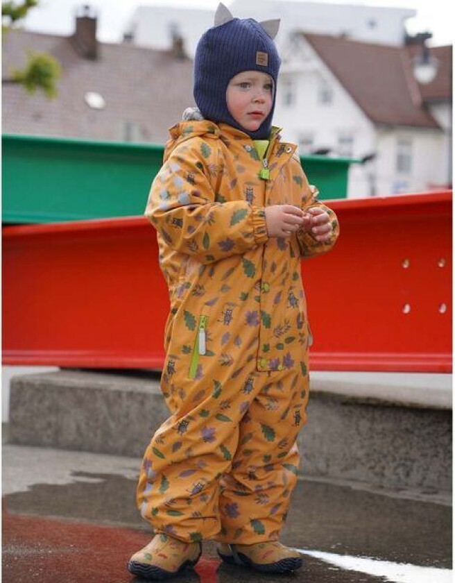 Slaps vinterregndress, Honning