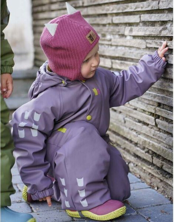 Slaps vinterregndress, Blåbærmelk