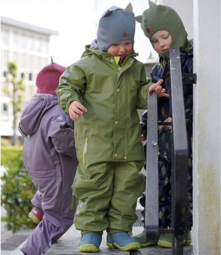 Slaps vinterregndress, Mose