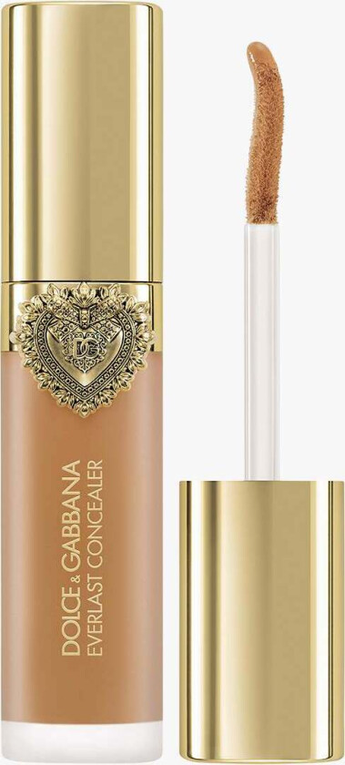 Everlast Concealer 11 ml (Farge: 27 Medium Deep)