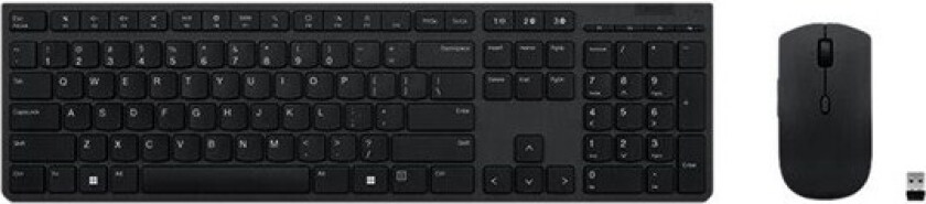 Professional - keyboard and mouse set - Swiss French/German - grey Input Device - Tastatur & Mussett - Sveitsisk fransk / tysk - Grå