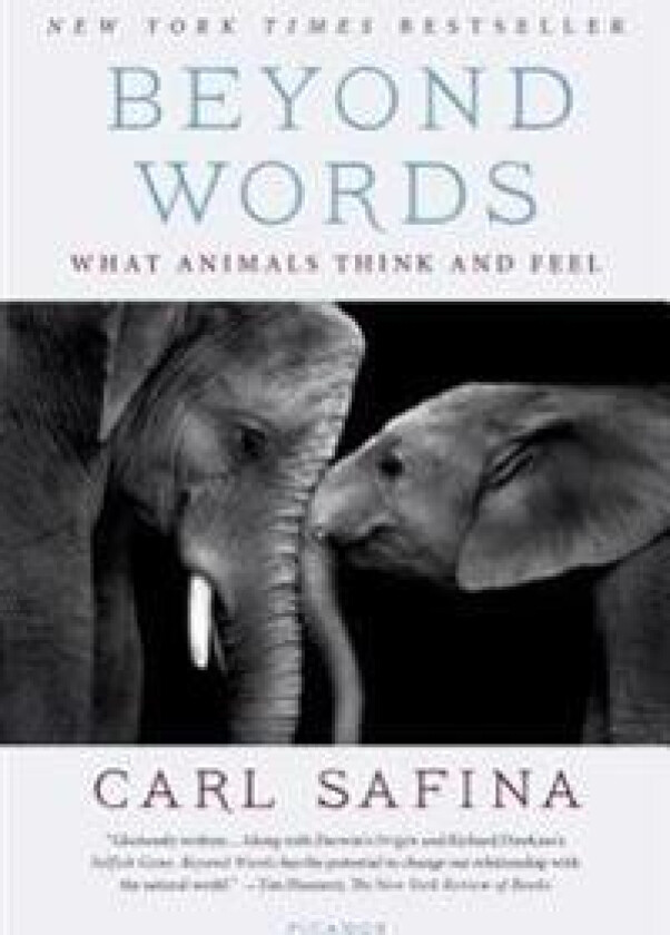 Beyond Words: What Animals Think and Feel