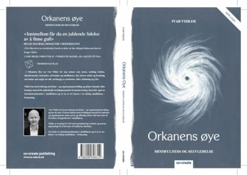 Orkanens øye av Ivar Vehler