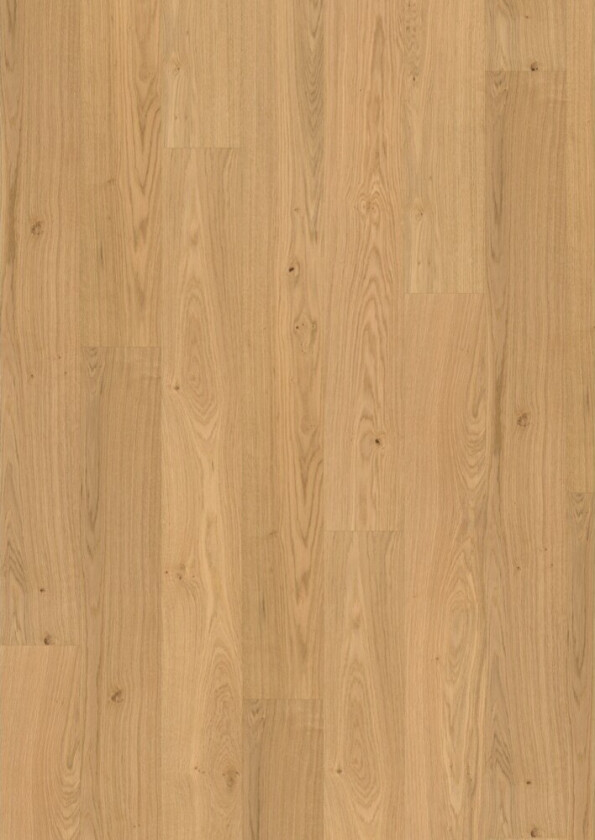 Tregulv maxwood xl natur eik t: 9.5mm b: 190mm l: 1800mm 1-stav