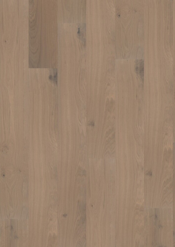 Tregulv maxwood xlw unique elegant eik t: 9.5mm b: 235mm l: 1800mm 1-stav