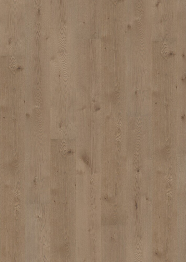 Tregulv maxwood xl unique elegant grå eik t: 9.5mm b: 190mm l: 1800mm 1-stav