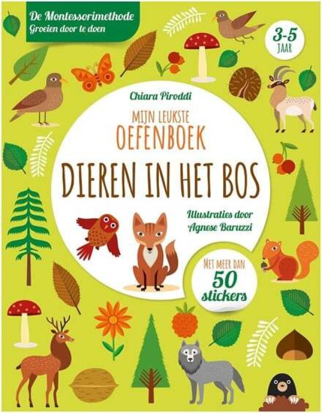 Animals in the Forest - Exercise Book