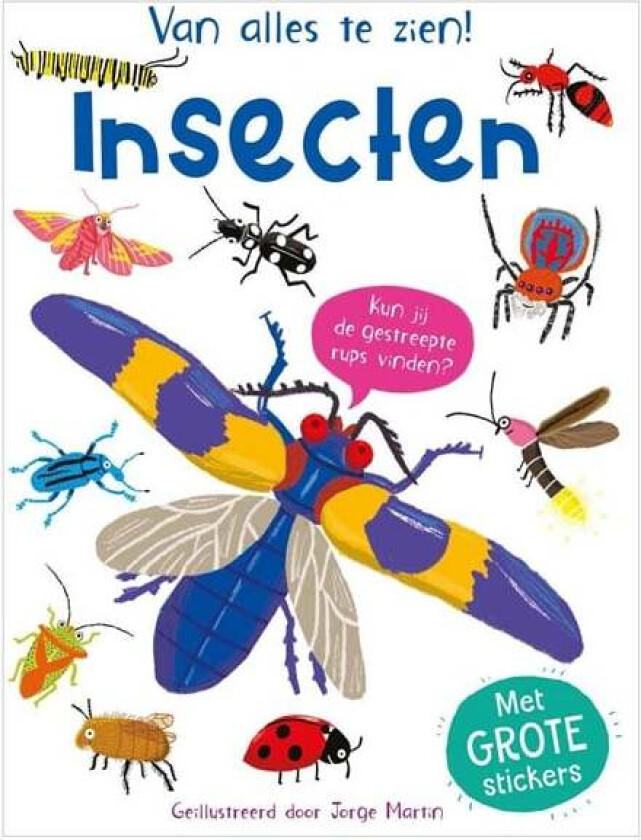 Insects - Everything to See!