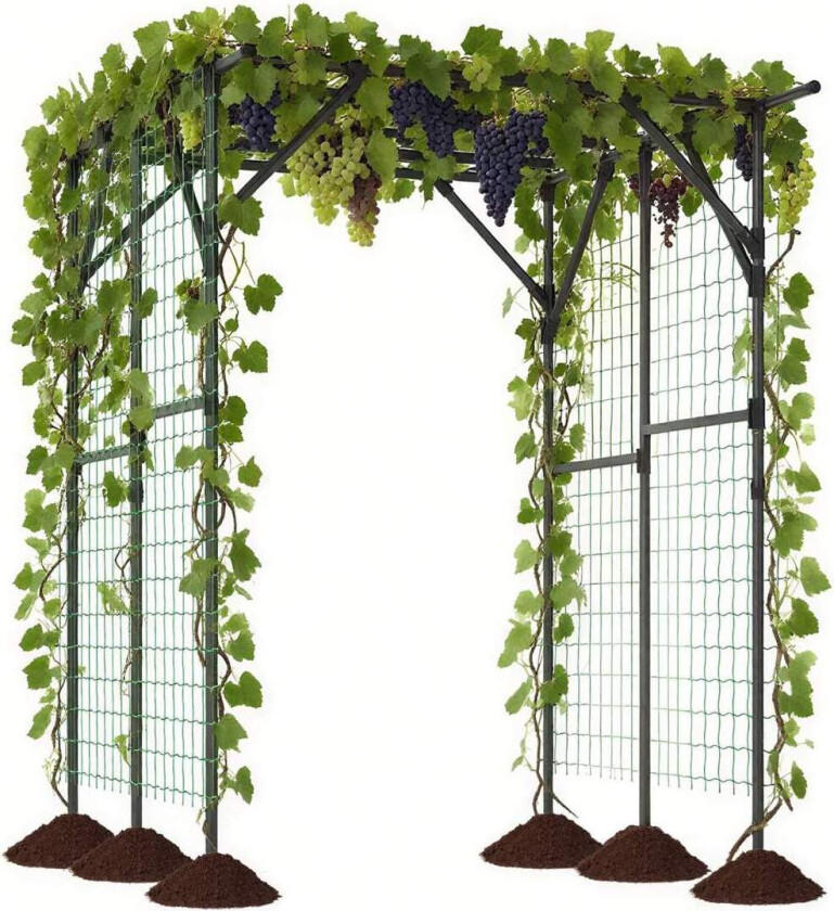 Hagebue-espalier – metall, rustbestandig, 200x150x197 cm