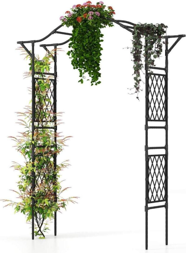 Hagebue i metall for klatreplanter – 170 x 39 x 210 cm