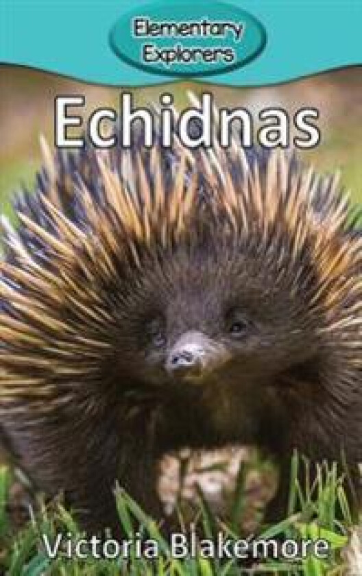 Echidnas
