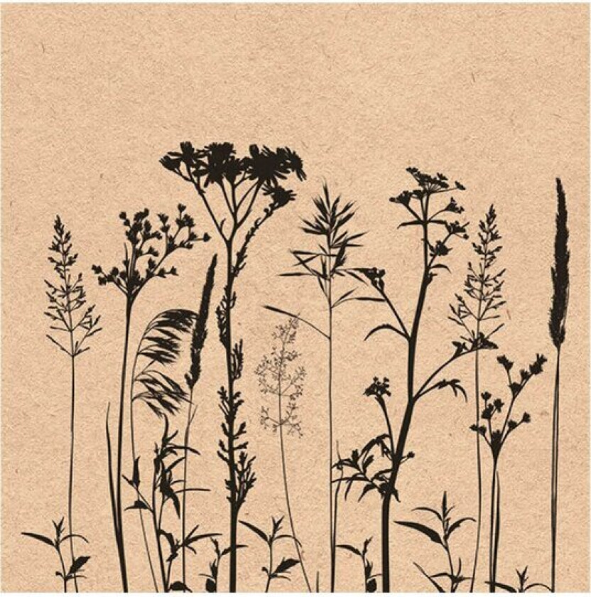 Serviett 16,5x16,5 cm Herbs And Flowers