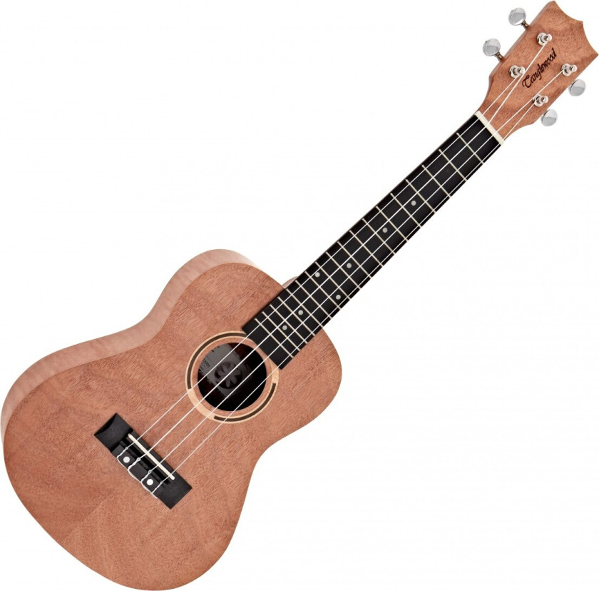 TWT 6 Tiare Concert Size Ukulele