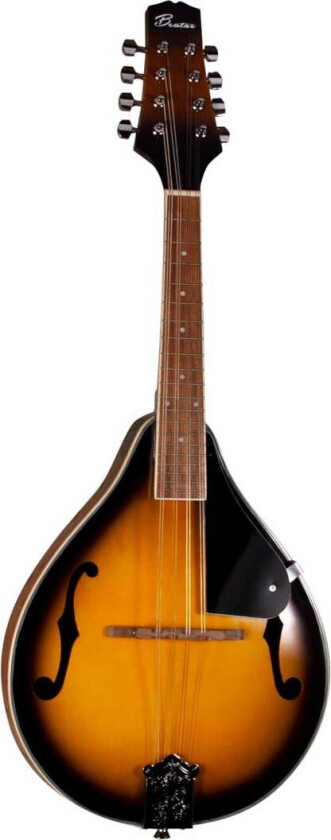 Manchester 08 SB mandolin