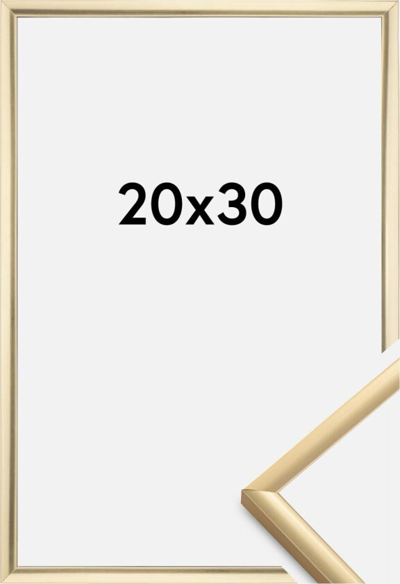 Ramme New Lifestyle Gull 20x30 Cm