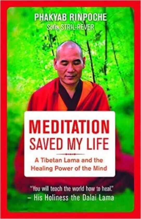 Meditation Saved My Life av Phakyab Rinpoche, Sofia Stril-Rever
