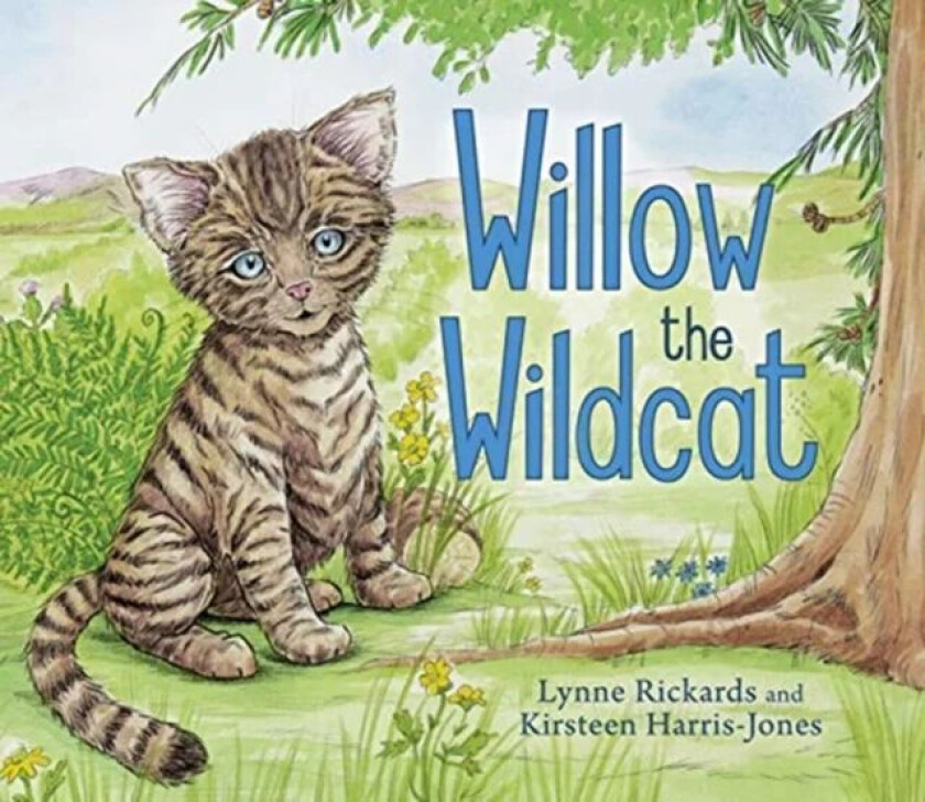 Willow the Wildcat av Lynne Rickards