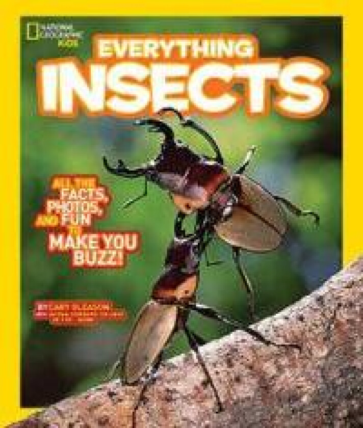 Everything Insects