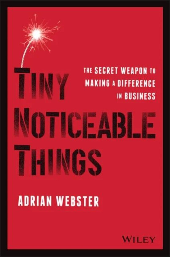 Tiny Noticeable Things av Adrian Webster