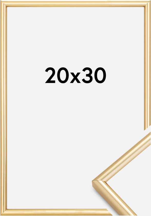 Ramme Galeria Gull 20x30 Cm