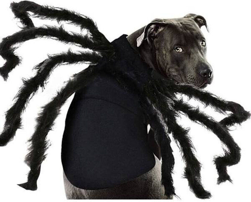 Pet Hund Halloween Kostüm Spinne Sweatshirt Cosplay Kostüme Haustier
