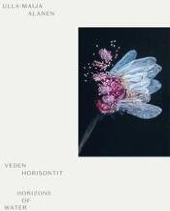 Veden horisontit - Horizons of water