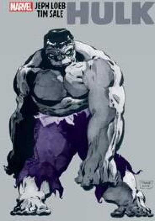 Jeph Loeb & Tim Sale: Hulk
