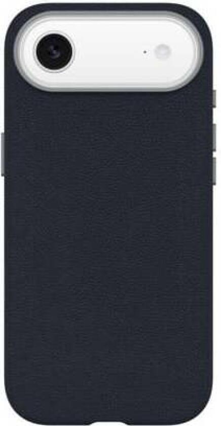 Symmetry Cactus Leather Camera Control Apple iPhone Air Riverside - blue