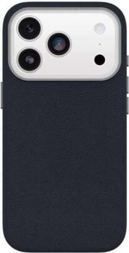 Symmetry Cactus Leather Camera Control Apple iPhone 17 Pro Riverside - blue