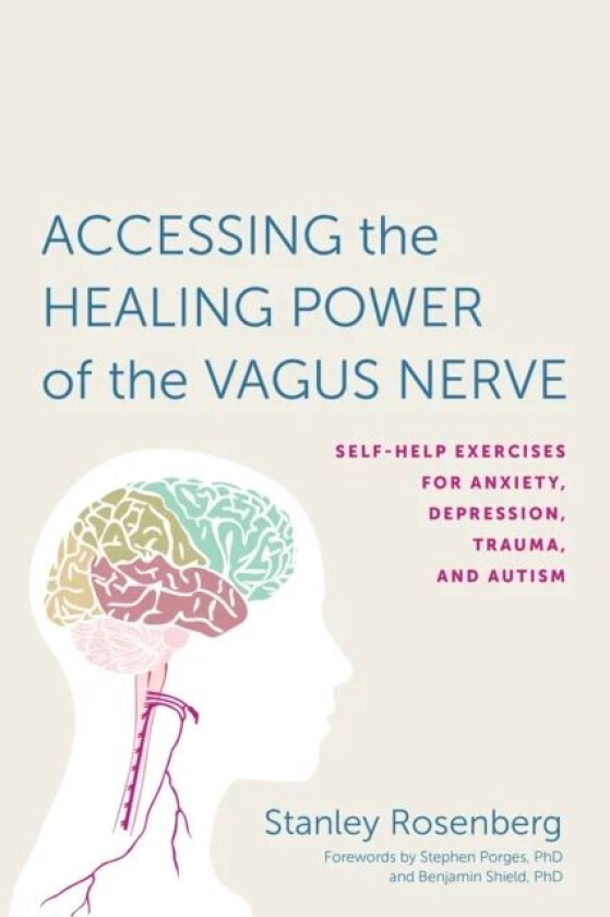 Accessing the Healing Power of the Vagus Nerve av Stanley Rosenbery