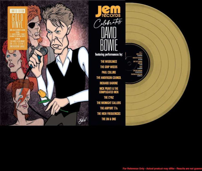 Diverse Artister Jem Records Celebrates David Bowie LP/Vinyl