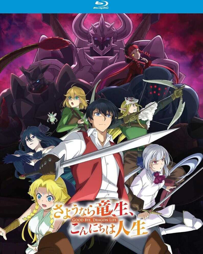 Good Bye Dragon Life The Complete Season Bluray