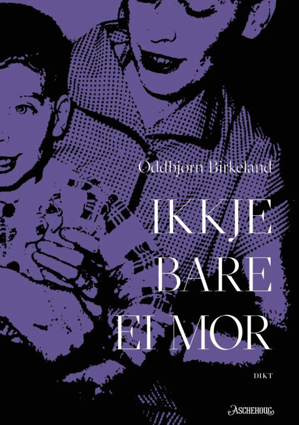 Ikkje bare ei mor av Oddbjørn Birkeland