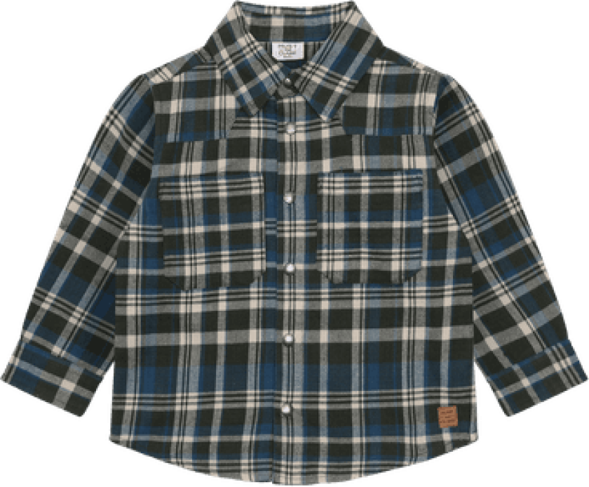 Ravn Urban check Skjorte Deep Ivy