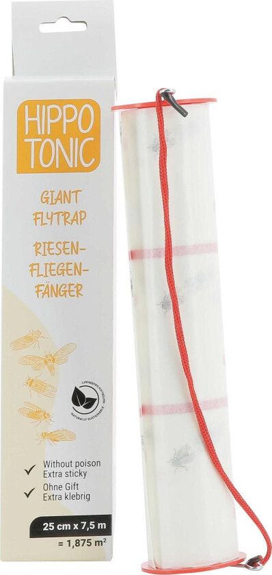 Hippotonic Stor Fluefelle Transparent