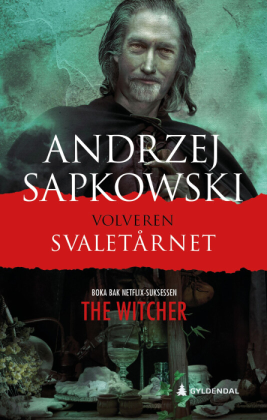 Svaletårnet av Andrzej Sapkowski