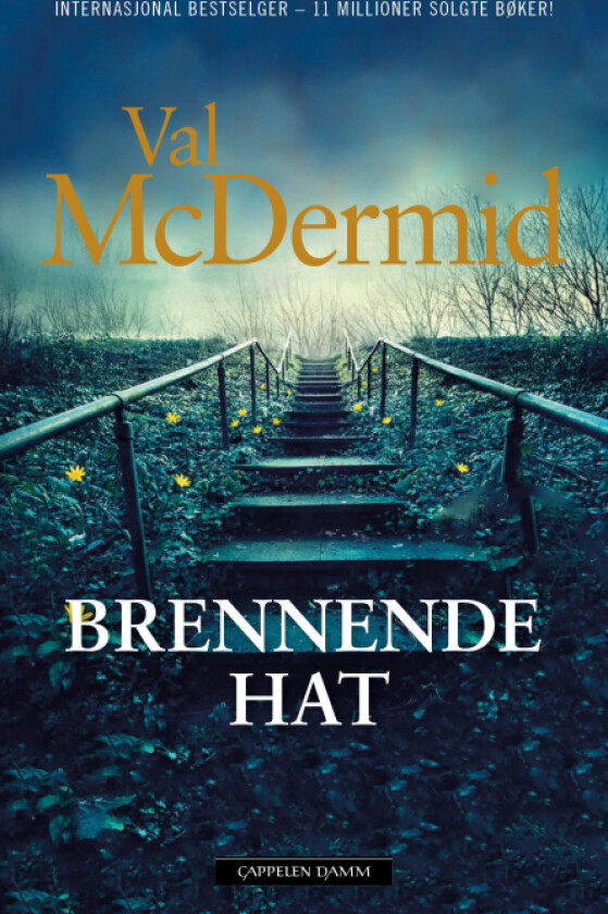 Brennende hat av Val McDermid