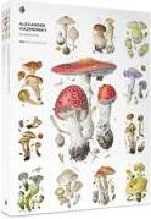 Mushrooms: Alexander Viazmensky 1000-Piece Puzzle