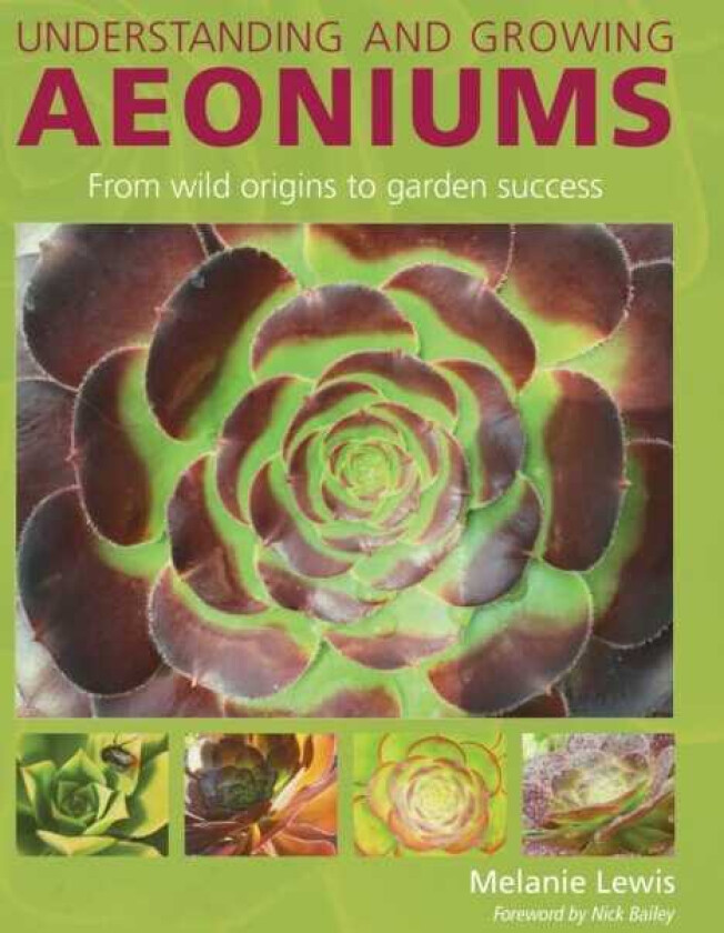 Understanding and Growing Aeoniums From wild origins to garden success