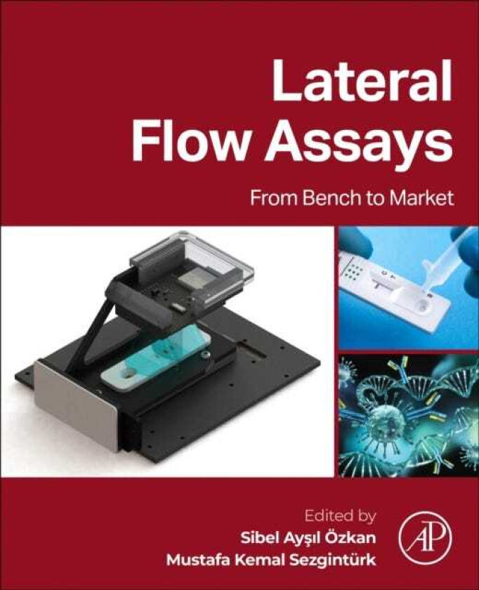Lateral Flow Assays From Bench to Market