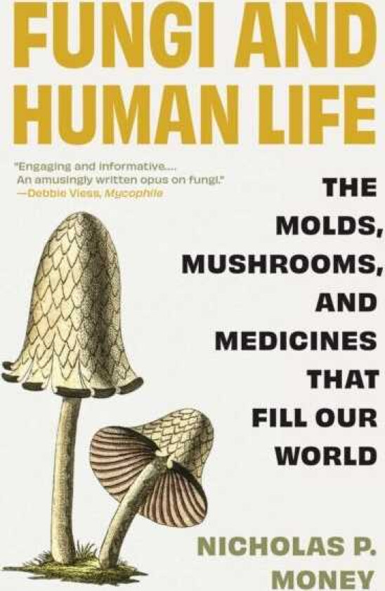 Fungi and Human Life The Molds, Mushrooms, and Medicines That Fill Our World