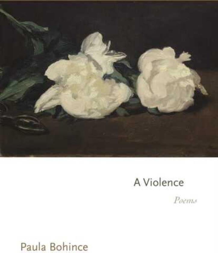 A Violence Poems