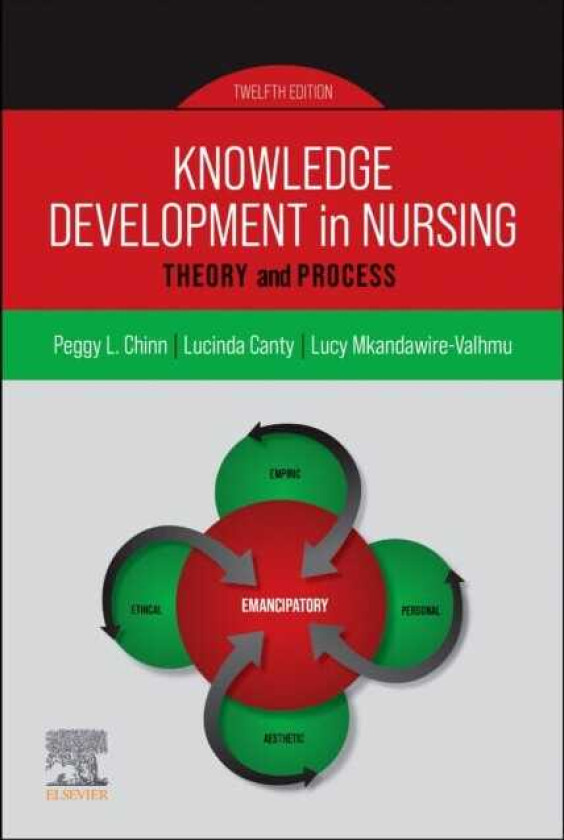 Knowledge Development in Nursing Theory and Process