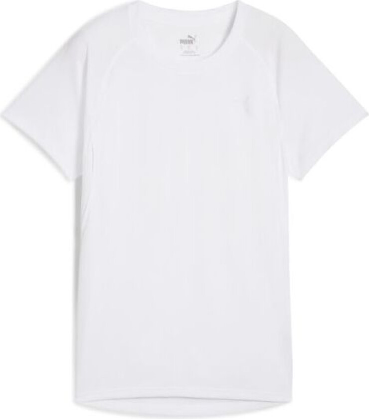 Run Velocity SS Tee