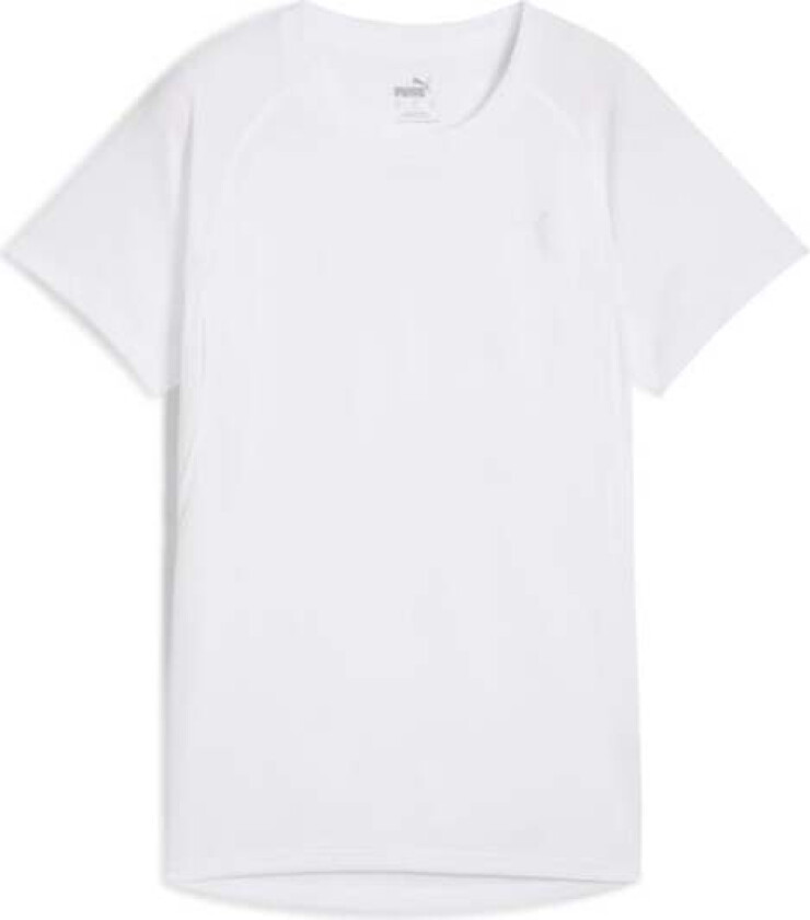 Run Velocity SS Tee